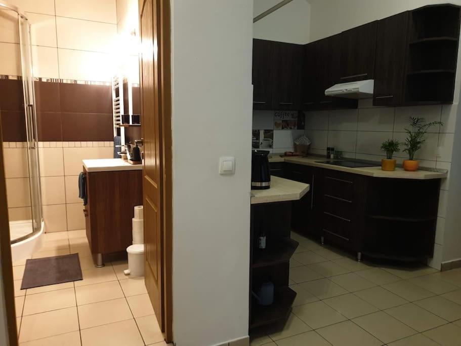 Zen By Downtown Apartments Targu Mures Ngoại thất bức ảnh