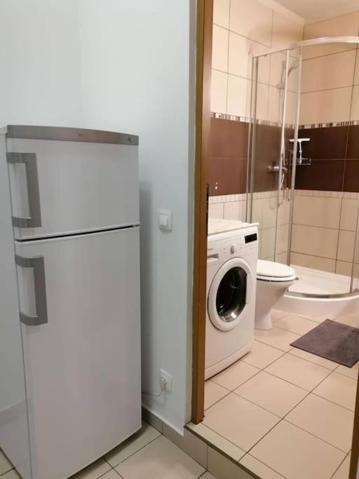 Zen By Downtown Apartments Targu Mures Ngoại thất bức ảnh